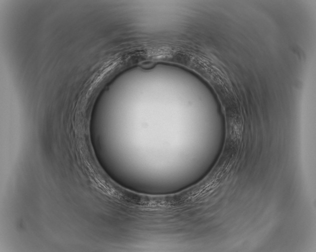 X0000110921393200906181359
