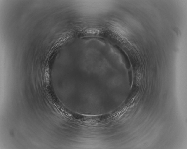 X0000110921394200906181359