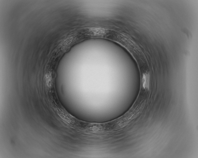 X0000110921395200906181359