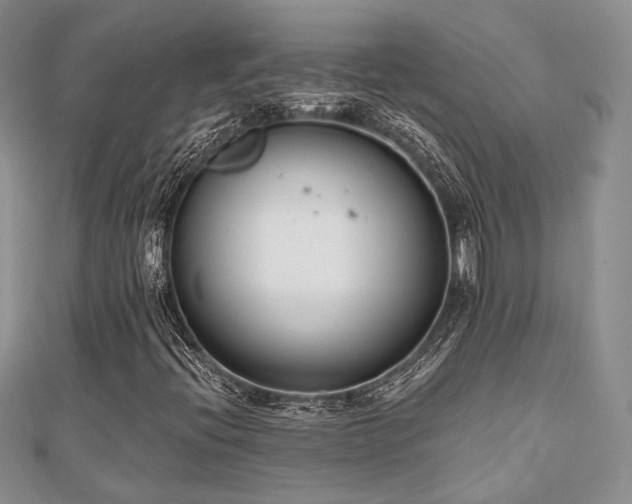 X0000110921396200906181359