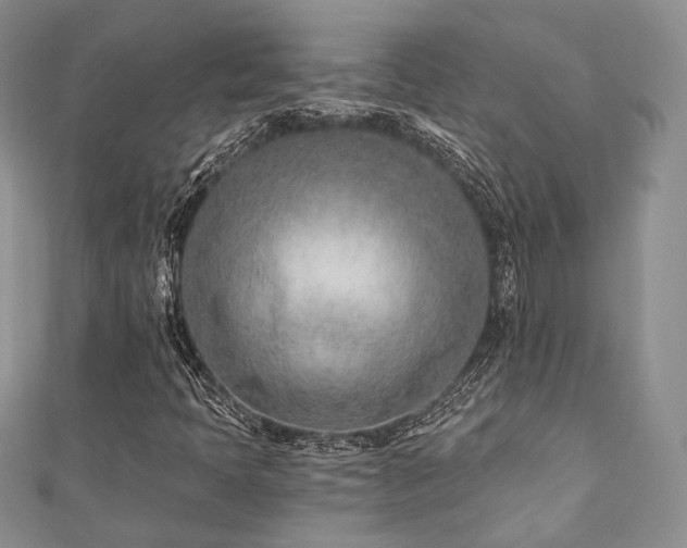 X0000110921397200906181359