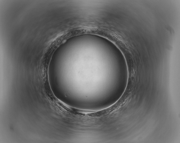 X0000110921398200906181359