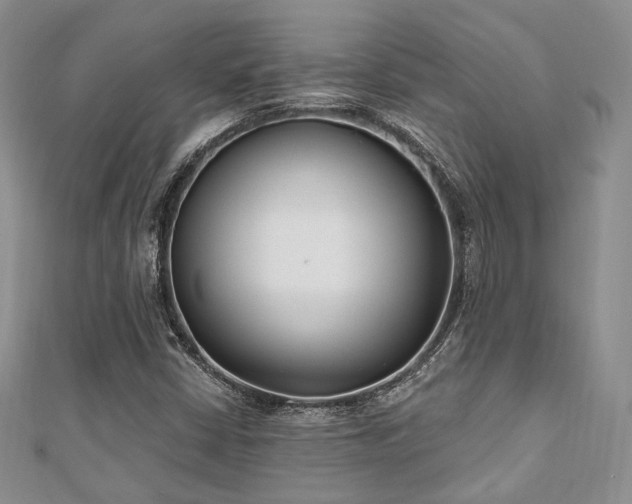 X0000110921402200906181359