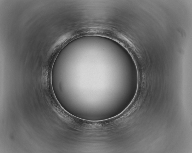 X0000110921403200906181359