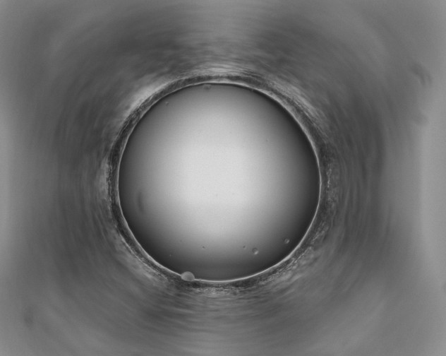X0000110921404200906181359