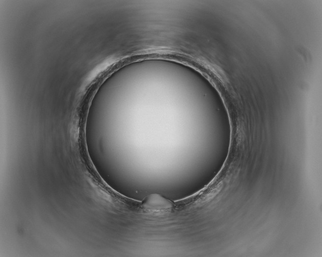 X0000110921406200906181359