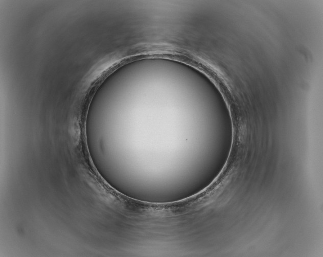 X0000110921407200906181359