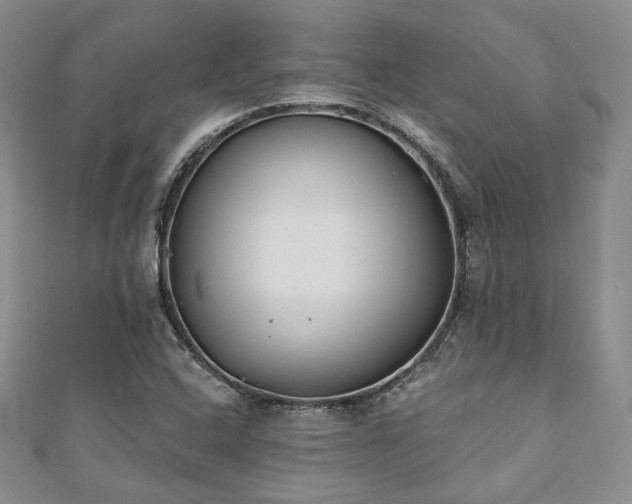 X0000110921408200906181359
