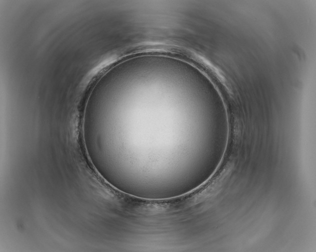 X0000110921411200906181359