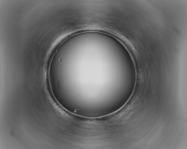 X0000110921416200906181359