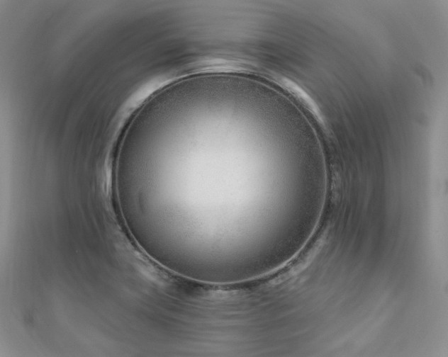 X0000110921419200906181359