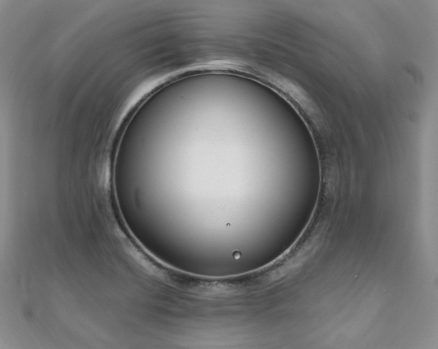 X0000110921420200906181359
