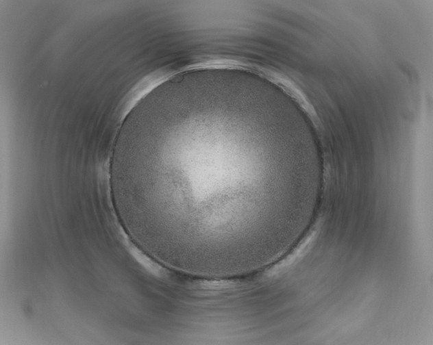 X0000110921425200906181359