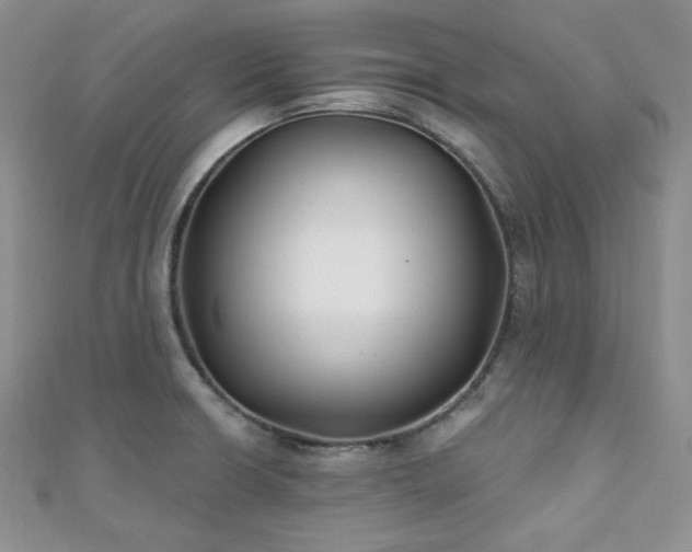 X0000110921426200906181359