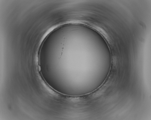 X0000110921428200906181359