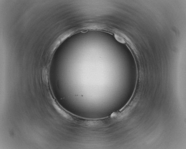 X0000110921433200906181359