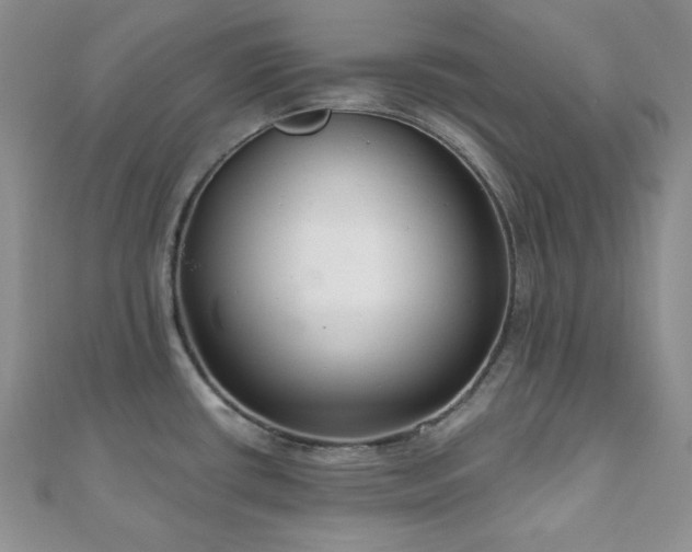 X0000110921434200906181359