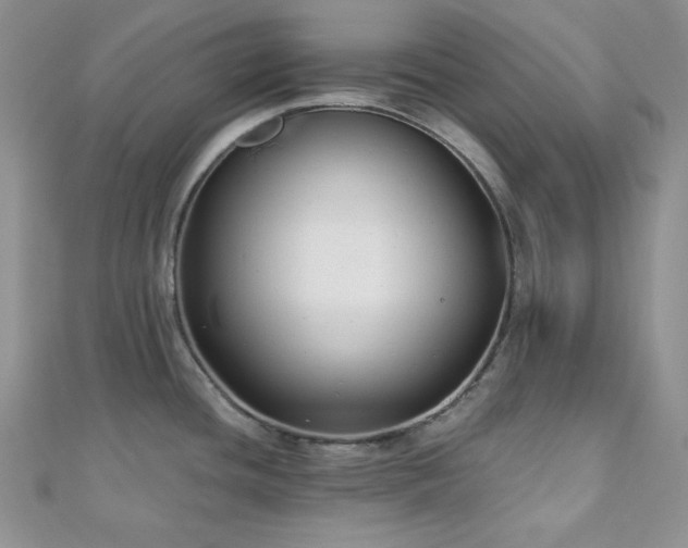 X0000110921436200906181359