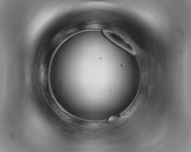 X0000110921438200906181359