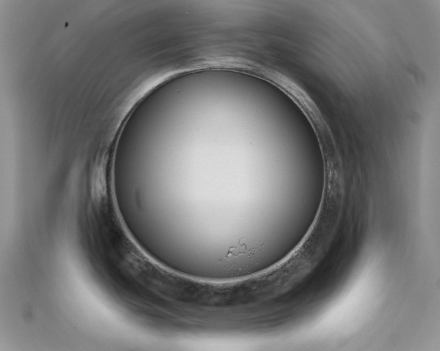 X0000110921439200906181359