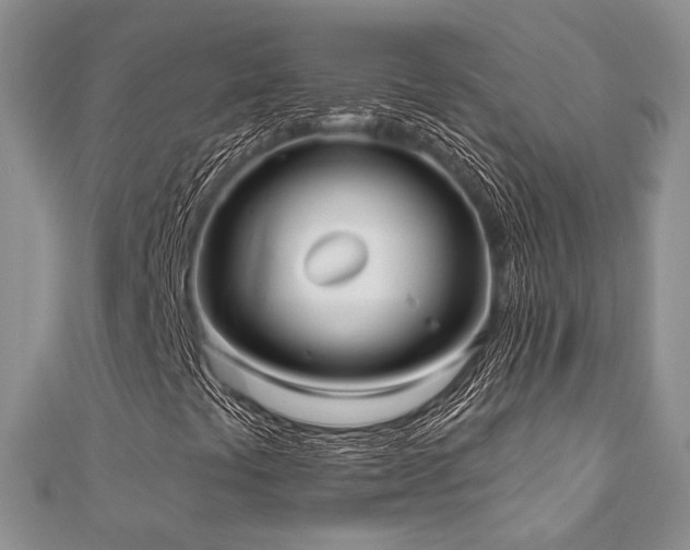 X0000110921441200906181359