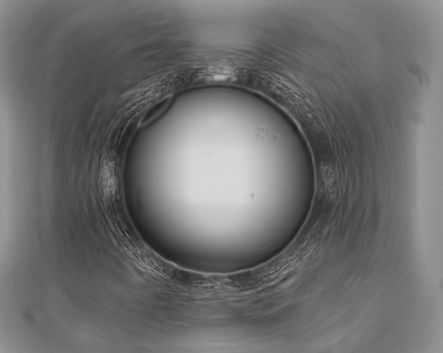 X0000110921442200906181359
