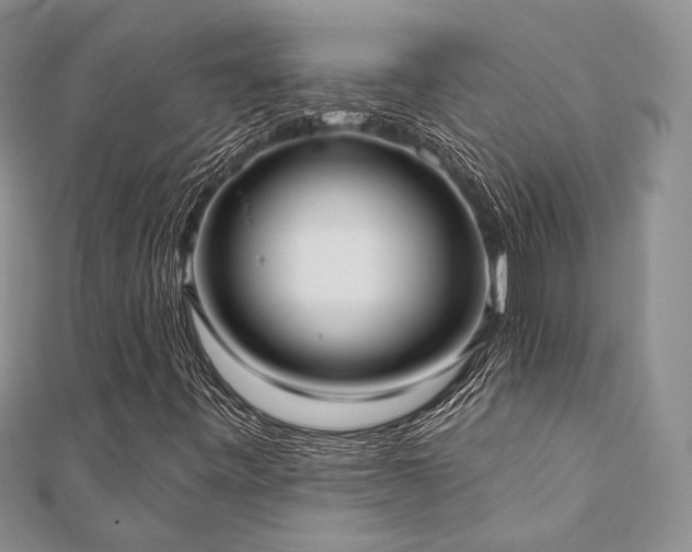 X0000110921443200906181359