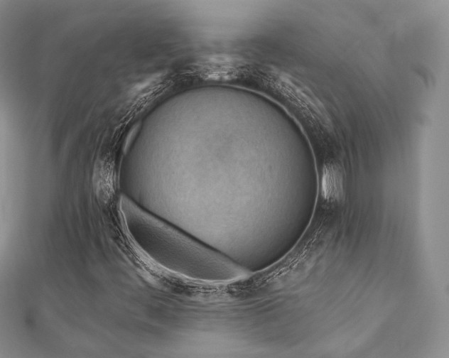 X0000110921444200906181359
