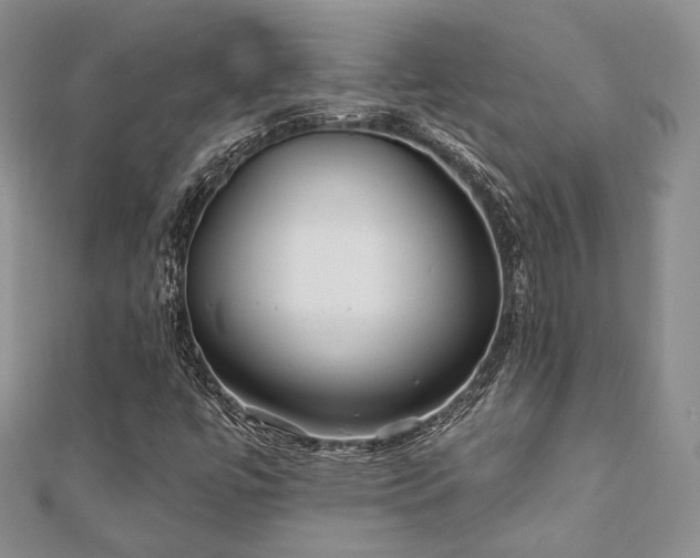 X0000110921447200906181359