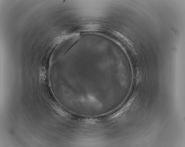 X0000110921449200906181359