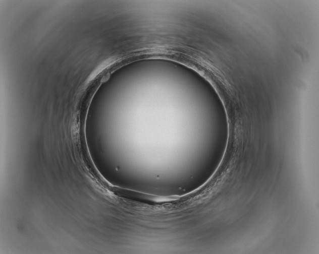 X0000110921450200906181359