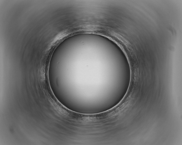 X0000110921451200906181359
