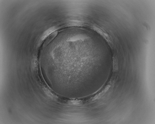 X0000110921453200906181358