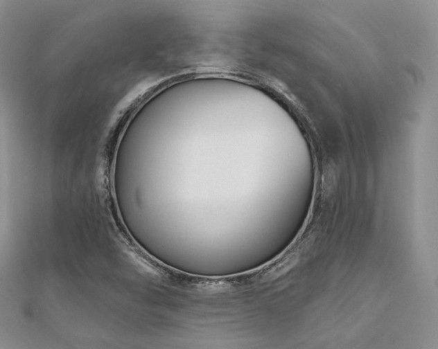 X0000110921454200906181358
