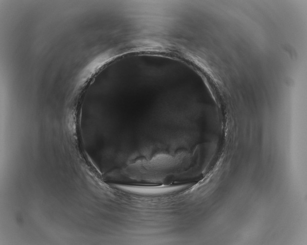 X0000110921455200906181358