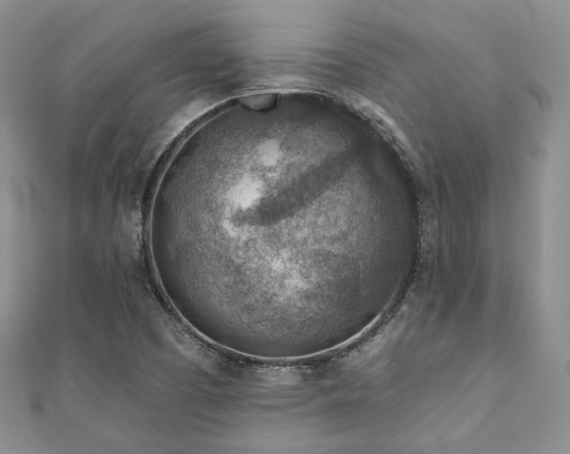 X0000110921457200906181358