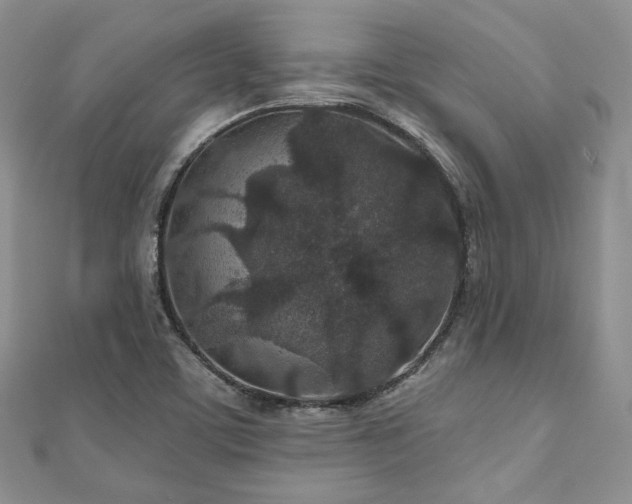 X0000110921459200906181358