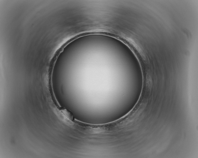 X0000110921460200906181358