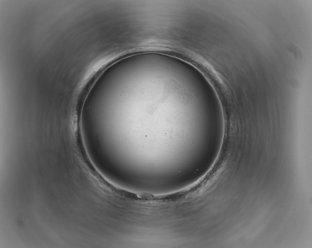 X0000110921461200906181358