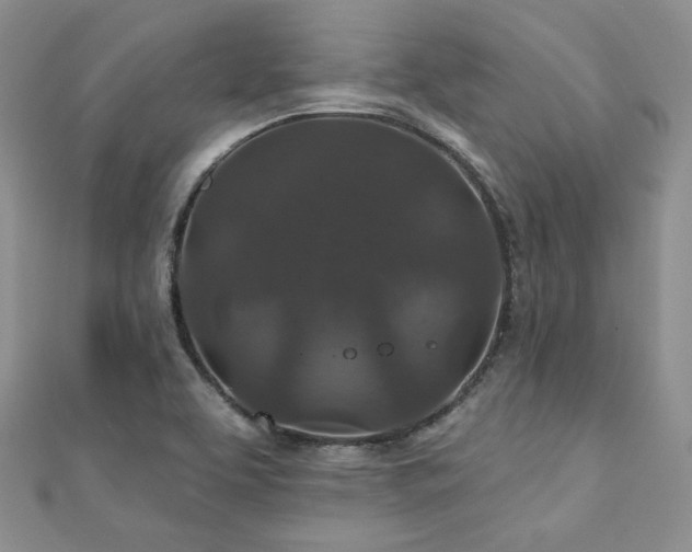 X0000110921463200906181358