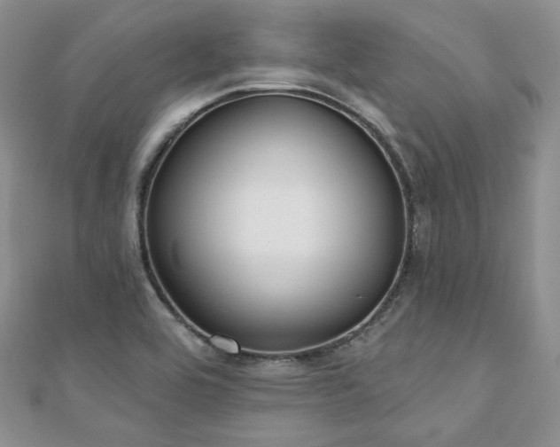 X0000110921464200906181358