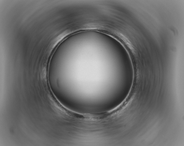 X0000110921465200906181358
