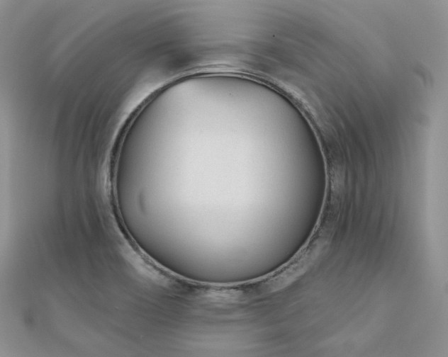 X0000110921466200906181358