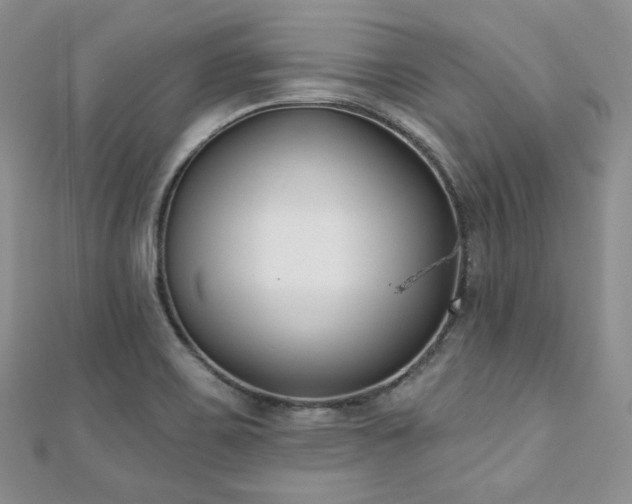 X0000110921467200906181358