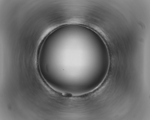X0000110921469200906181358