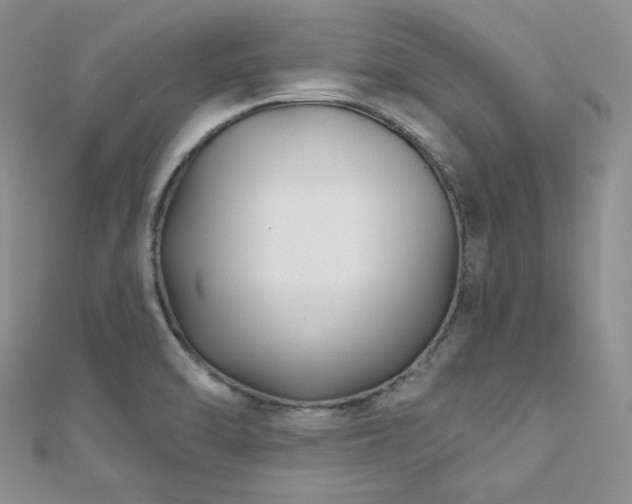 X0000110921470200906181358