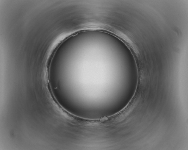 X0000110921472200906181358