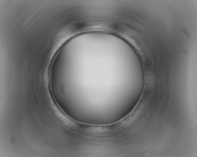 X0000110921474200906181358