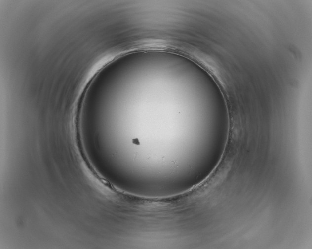 X0000110921475200906181358