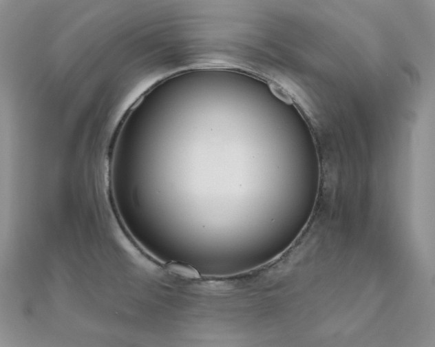 X0000110921476200906181358